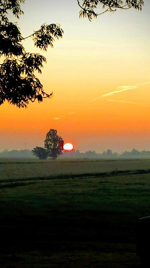 Het Kraaienbosch Bed & Breakfast Zegveld Ngoại thất bức ảnh