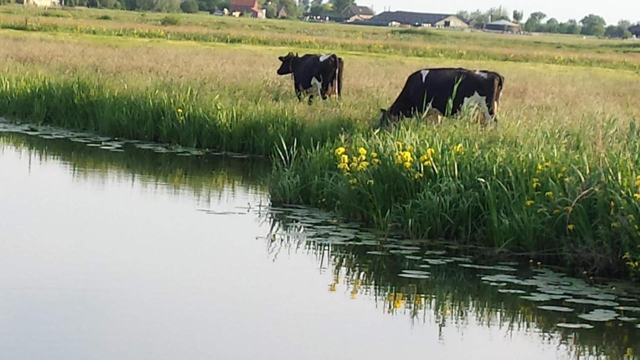 Het Kraaienbosch Bed & Breakfast Zegveld Ngoại thất bức ảnh